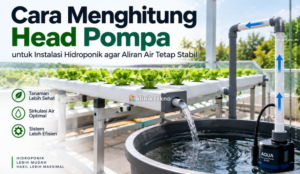 Cara Menghitung Head Pompa untuk Instalasi Hidroponik