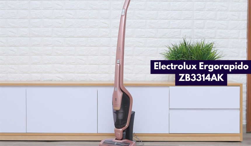 Electrolux Ergorapido ZB3314AK