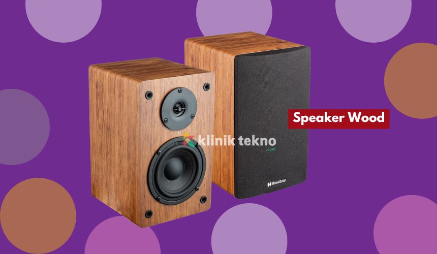 Speaker Wood