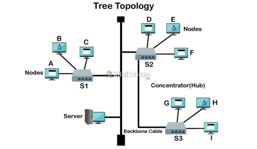 Topologi Tree