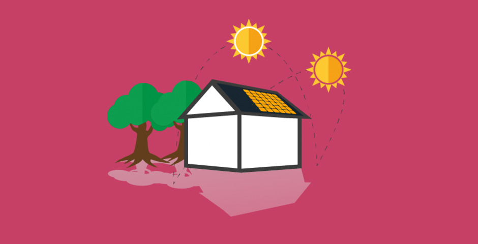 Manfaat Energi Matahari bagi Manusia, Hewan dan Tumbuhan